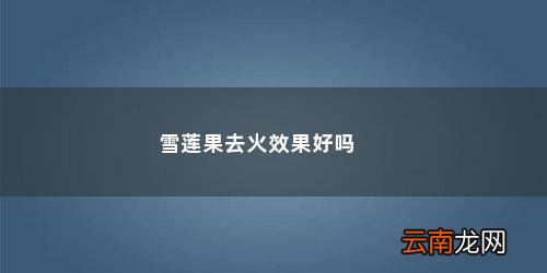 雪莲果去火效果好吗
