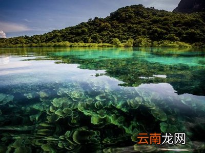 潜水后多久可以做按摩