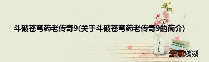 关于斗破苍穹药老传奇9的简介 斗破苍穹药老传奇9