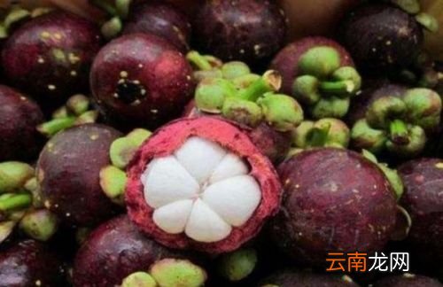 山竹如何判断好坏