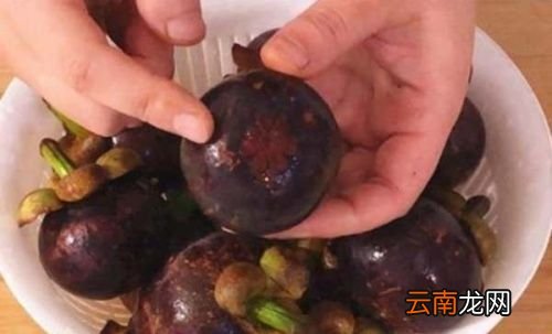 山竹如何判断好坏