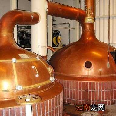 猕猴桃有酒味是不是不能吃了