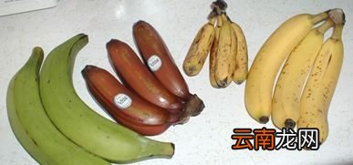 猕猴桃有酒味是不是不能吃了
