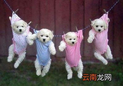 阴雨天晾衣服晾不干有霉味、臭味怎么办?