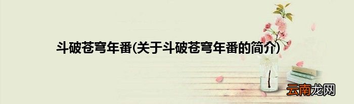 关于斗破苍穹年番的简介 斗破苍穹年番