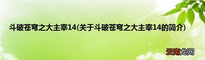 关于斗破苍穹之大主宰14的简介 斗破苍穹之大主宰14
