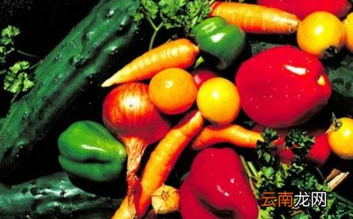 排便时是蹲着好还是坐着好 恢复排便的饮食小方法