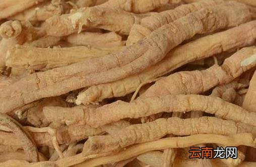 春困秋乏夏打盹的科学依据 食补安神饮帮你克服困倦