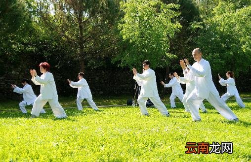 增强免疫力要作息规律 抗癌又增强免疫力的食物推荐