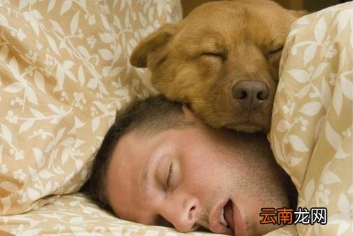 并不是睡得越多就越好 熬夜以后在白天补觉是否有用