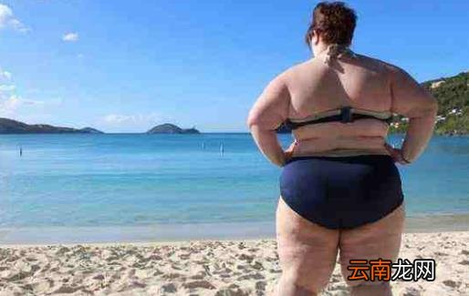 体脂肪过高的危害 内脏脂肪的自我检测方法