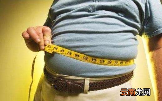 体脂肪过高的危害 内脏脂肪的自我检测方法