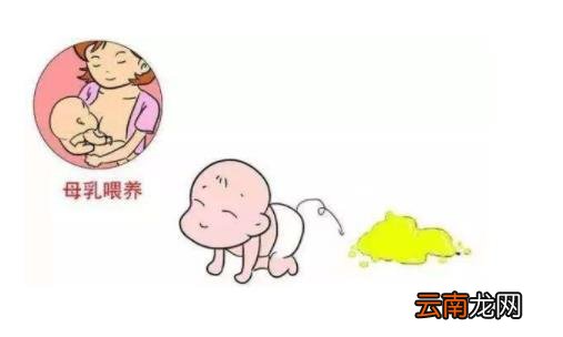 新生儿拉肚子怎么办什么原因导致