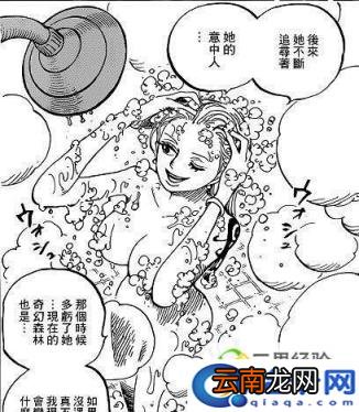 海贼王里最服乔巴，娜美罗宾洗澡只让乔巴看