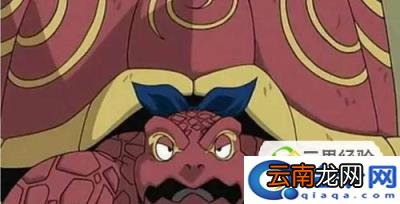 十种常见的强大通灵兽