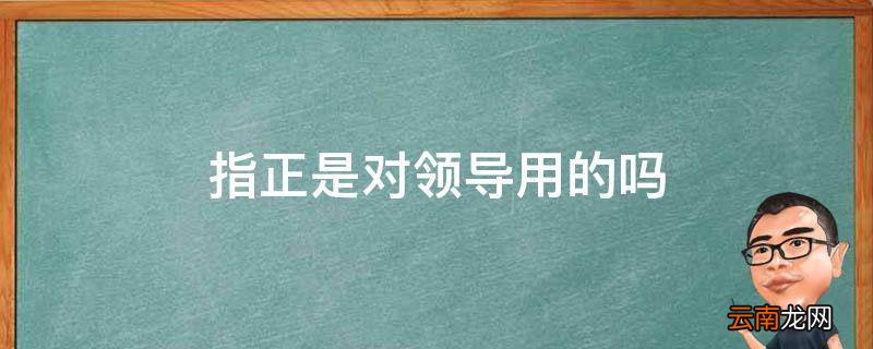 指正是对领导用的吗