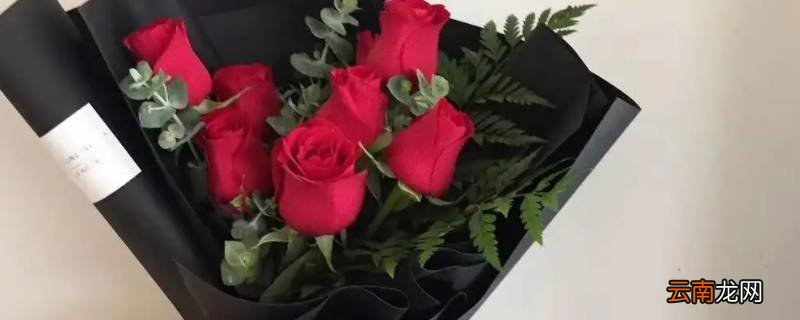 送6朵玫瑰花是什么意思