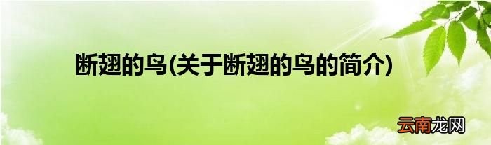 关于断翅的鸟的简介 断翅的鸟