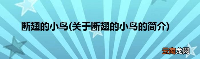 关于断翅的小鸟的简介 断翅的小鸟