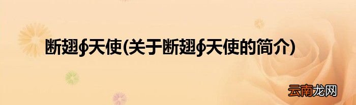关于断翅∮天使的简介 断翅∮天使