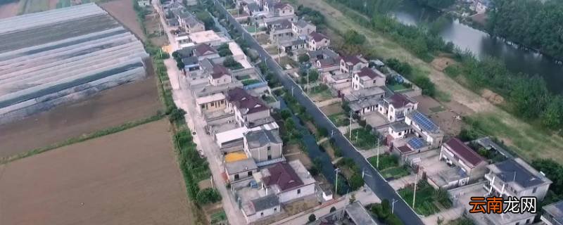 沙头镇属于哪个区