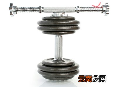 哑铃弯举可以练哪些肌肉