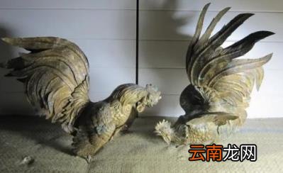 家中可以摆放铜公鸡有啥讲究 家中可以摆放铜公鸡吗