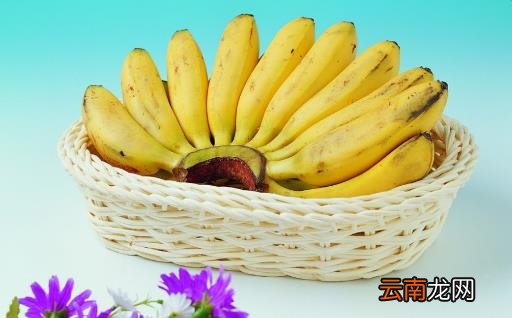 大便带血疾病找上身 预防大便出血食物推荐