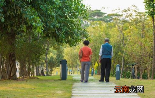 饭后的这些不良习惯 对健康是极为不利的