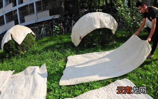 家里隐藏导致我们过敏的过敏原 赶紧把它们清理掉