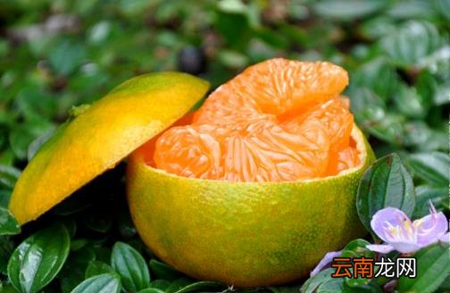 牙龈经常出血 养成良好口腔卫生预防牙龈出血