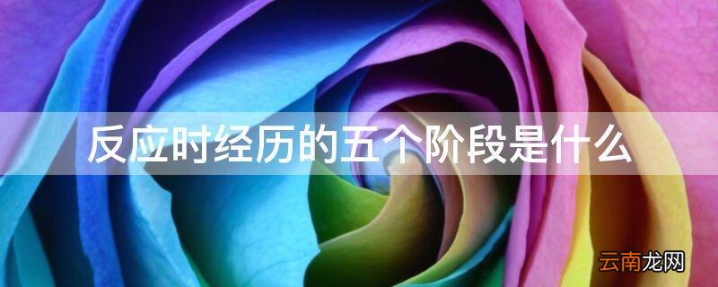 反应时经历的五个阶段是什么