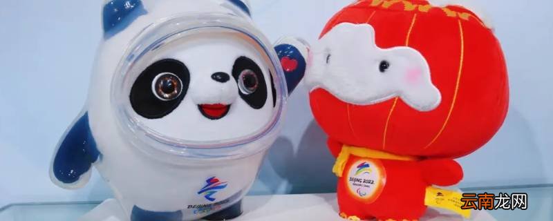 冰墩墩什么样子的