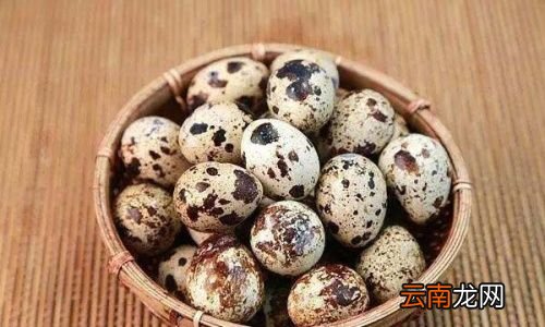 一直吃鹌鹑蛋会胖吗