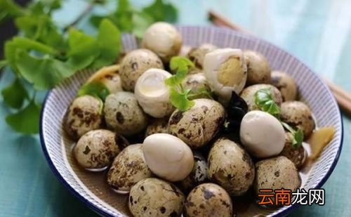 偶尔吃个鹌鹑蛋会发胖吗