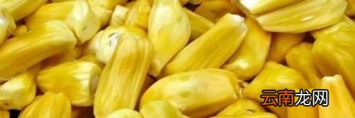 菠萝蜜放在冰箱里面能保存多久