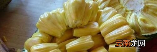 菠萝蜜放在冰箱里面能保存多久