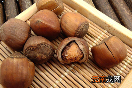 开口榛子是生的还是熟的-开口的榛子怎么剥