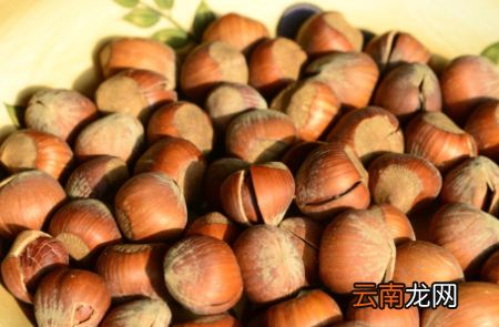 开口榛子是生的还是熟的-开口的榛子怎么剥
