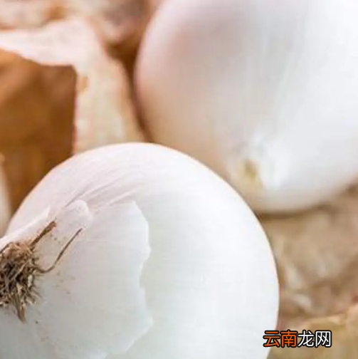 洋葱有几种