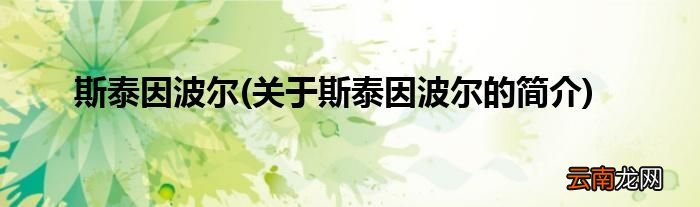 关于斯泰因波尔的简介 斯泰因波尔