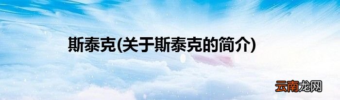 关于斯泰克的简介 斯泰克