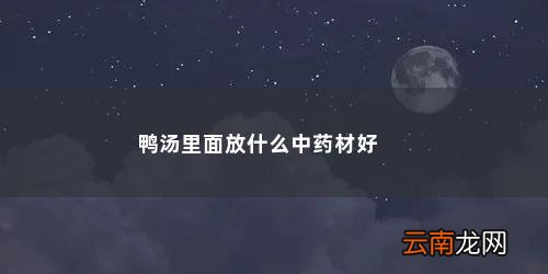 炖鸭子要什么药材去腥 鸭汤里面放什么中药材好