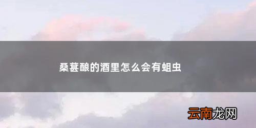 自酿桑葚酒中有小虫子是怎么回事儿 桑葚酿的酒里怎么会有蛆虫
