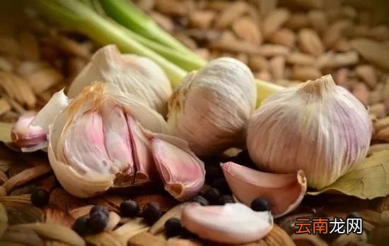 大蒜发芽还能吃吗 以前扔了真是浪费