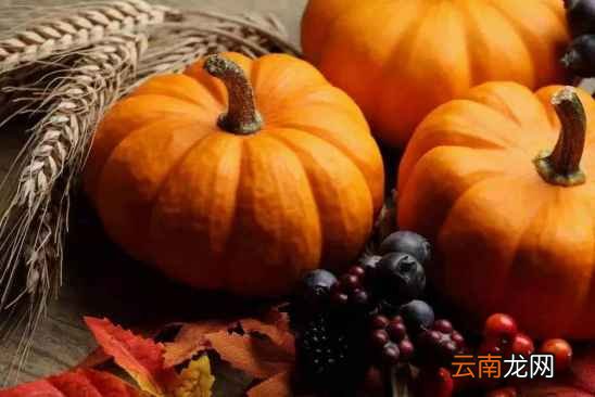 人吃南瓜有什么好处 它竟然有这七种好处