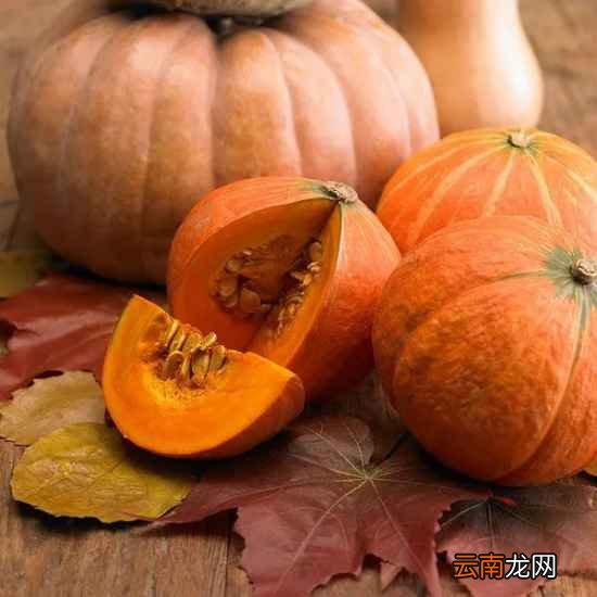 人吃南瓜有什么好处 它竟然有这七种好处