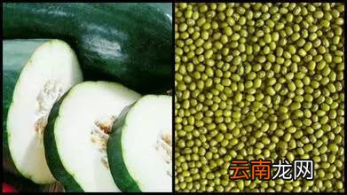 素食菜谱的做法 多道素菜的制作方法
