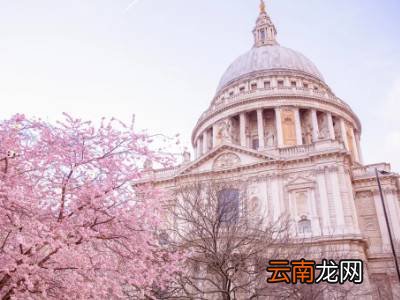 巴西的主要城市