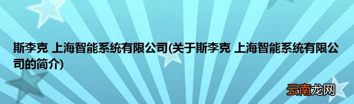 关于斯李克 上海智能系统有限公司的简介 斯李克 上海智能系统有限公司
